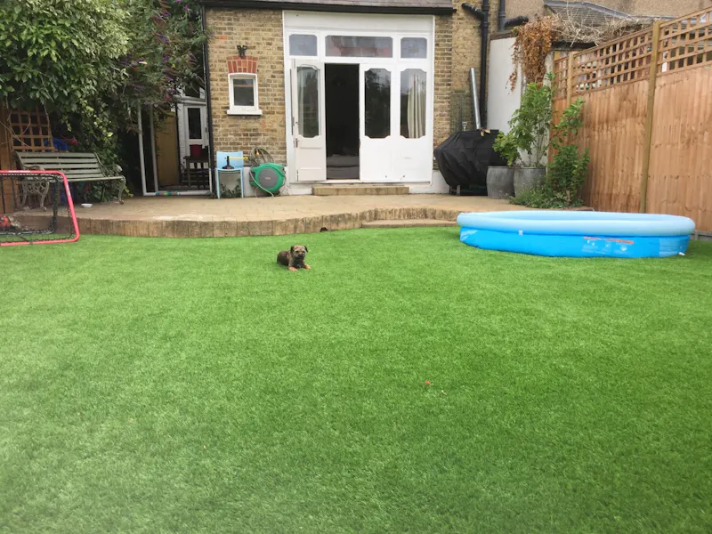 Garden at Stylish Streatham house, D2356 (photo 66)
