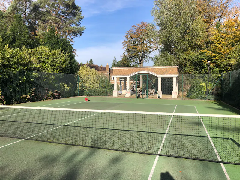 Luxury Weybridge mansion, D2443 (photo 54)
