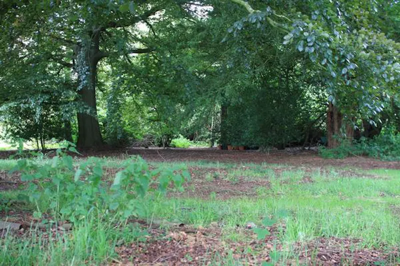 Redhill rectory, A145 (photo 73)