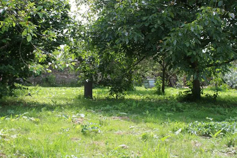 Redhill rectory, A145 (photo 92)
