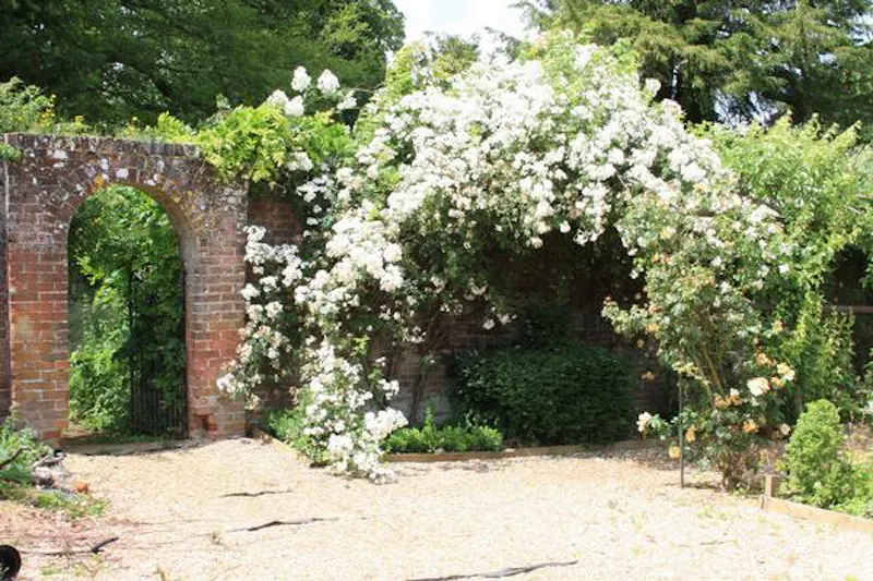Redhill rectory, A145 (photo 95)