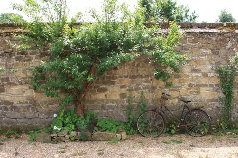 Redhill rectory, A145 (photo 97)