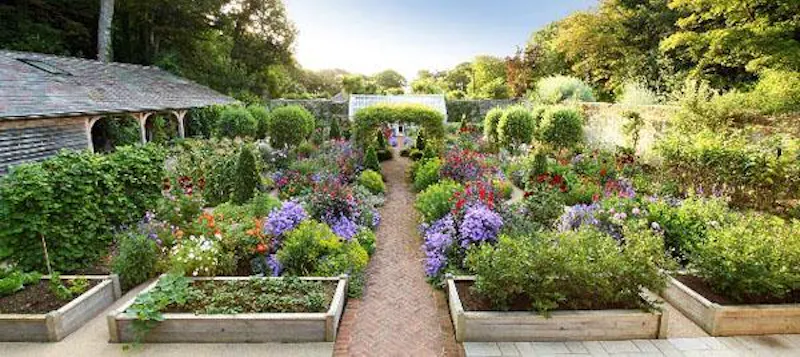 Garden at Japan-inspired Isle of Wight house, L558 (photo 37)