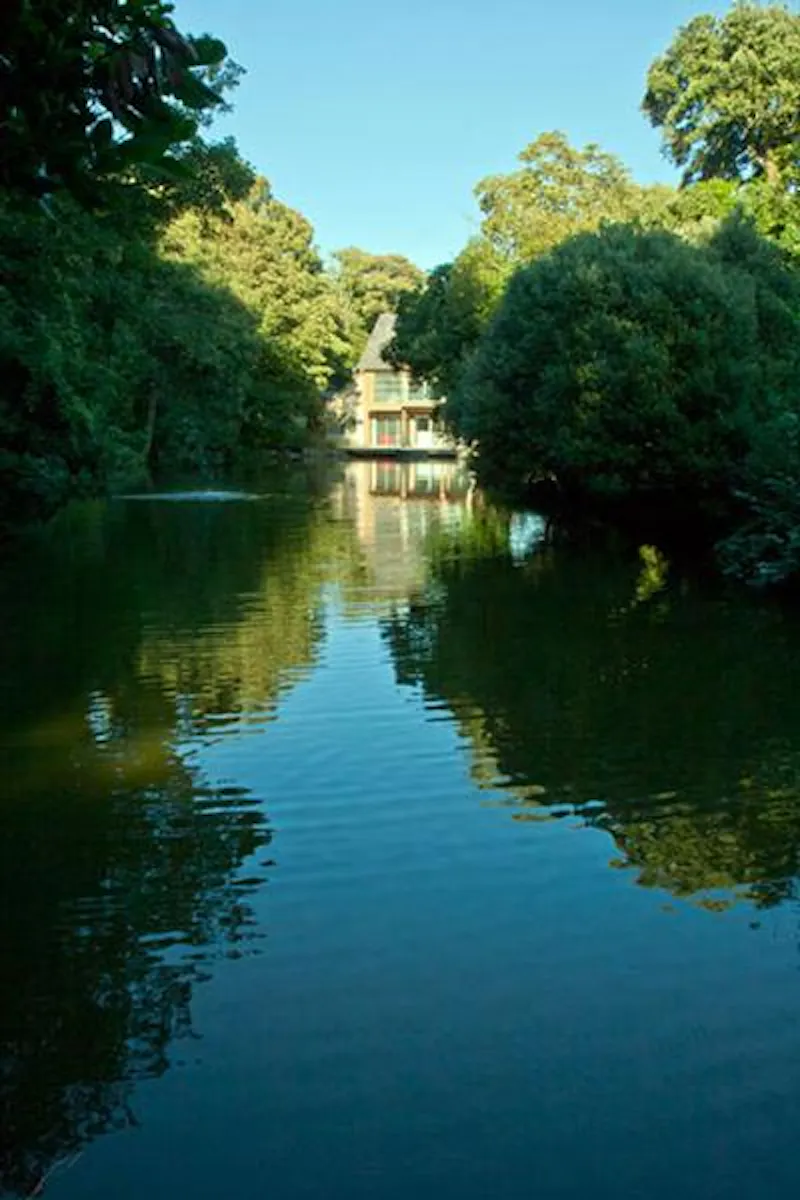 Japan-inspired Isle of Wight house, L558 (photo 65)