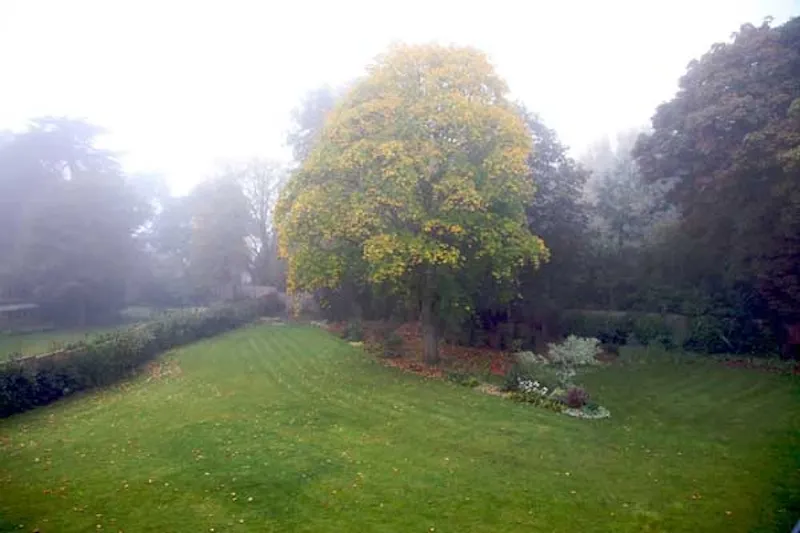 Garden at Modern Roehampton house, D1918 (photo 28)