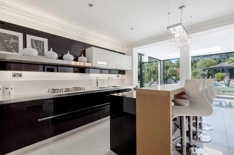 Kitchen at Miami-style Hatfield mansion, D1357 (photo 8)