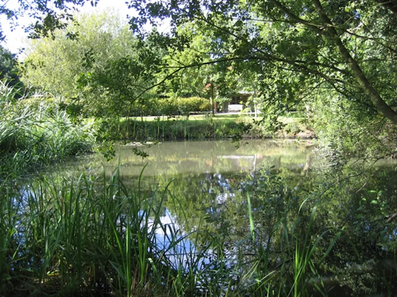Countryside at Tenterden country house, D1951 (photo 21)