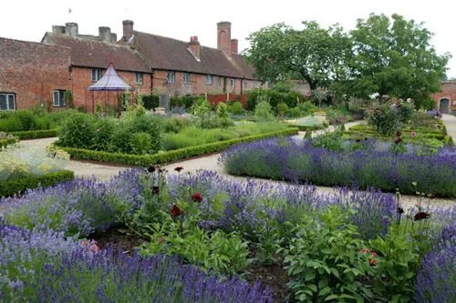 The walled gardens of Midhurst, M260