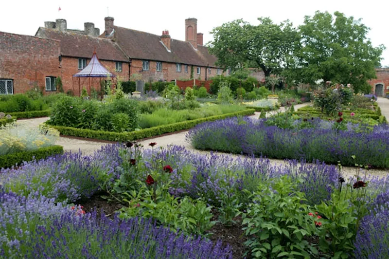The walled gardens of Midhurst, M260 (photo 2)
