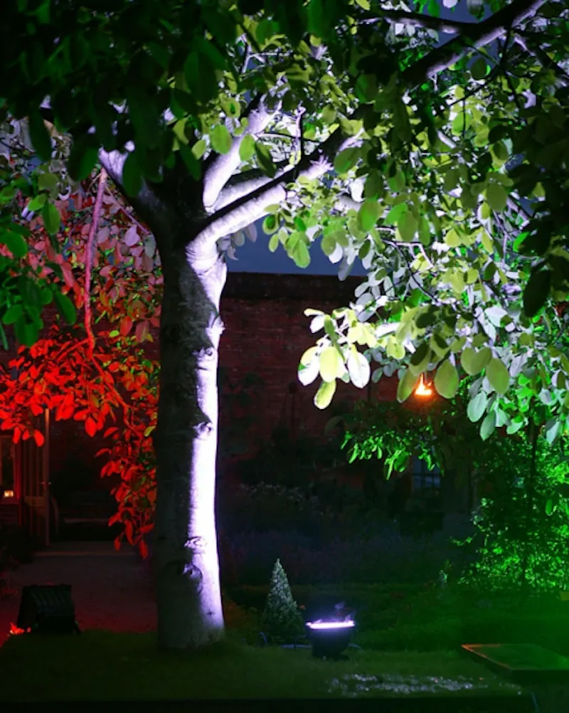 The walled gardens of Midhurst, M260 (photo 7)