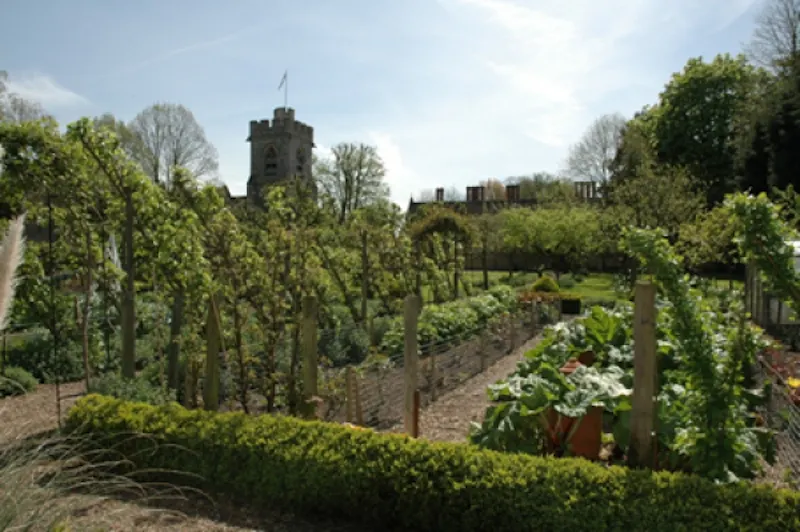 Garden - wild at Buckingham Tudor mansion, H19 (photo 40)