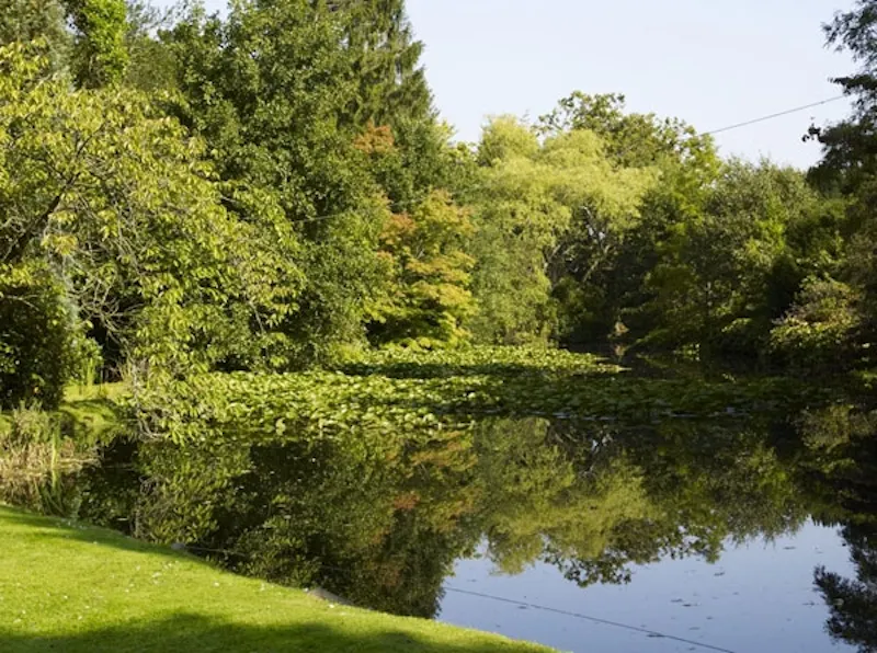 Lake at Surrey Hills listed manor house, M68 (photo 32)