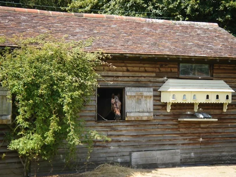 Shed at Bury St Edmunds farmhouse & land, Q28 (photo 8)
