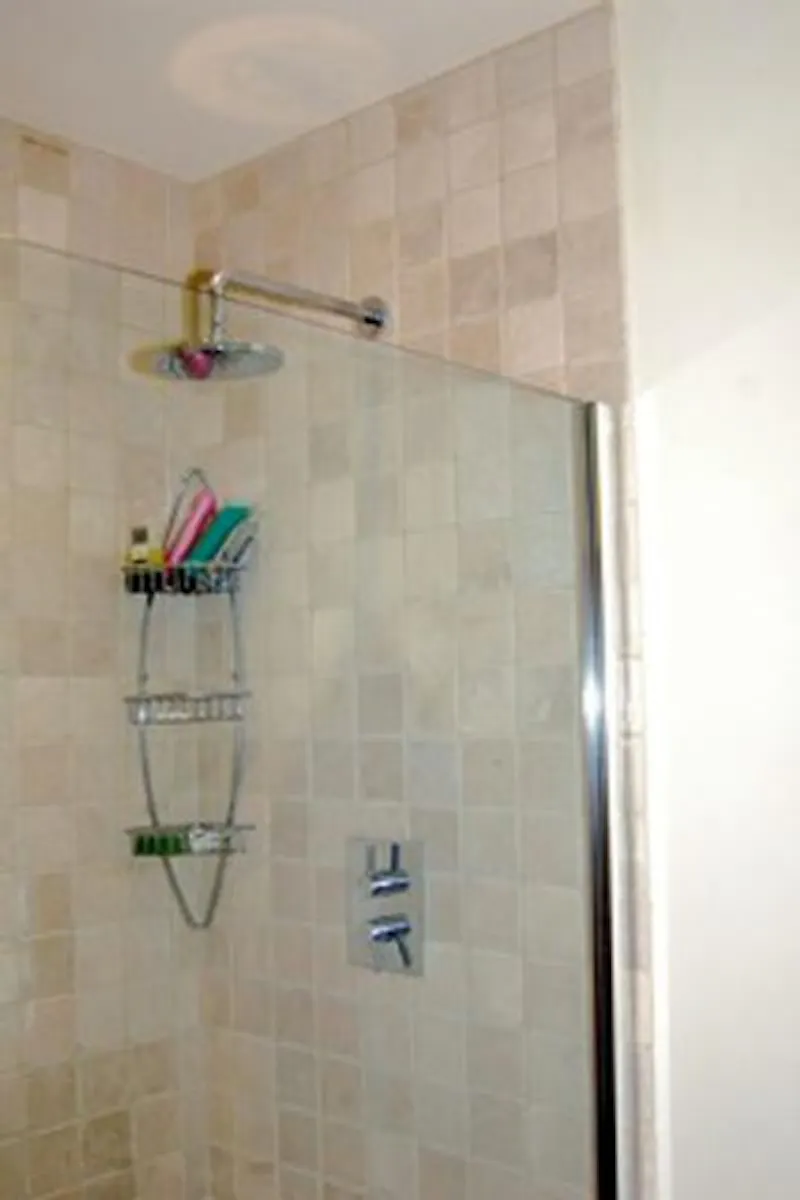 Shower at Modern Mortlake house, D1880 (photo 22)