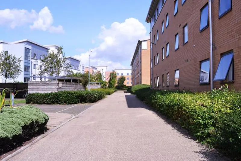 University buildings in Hatfield, J170 (photo 62)