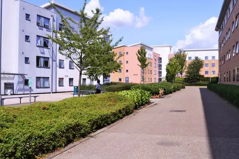 University buildings in Hatfield, J170 (photo 67)