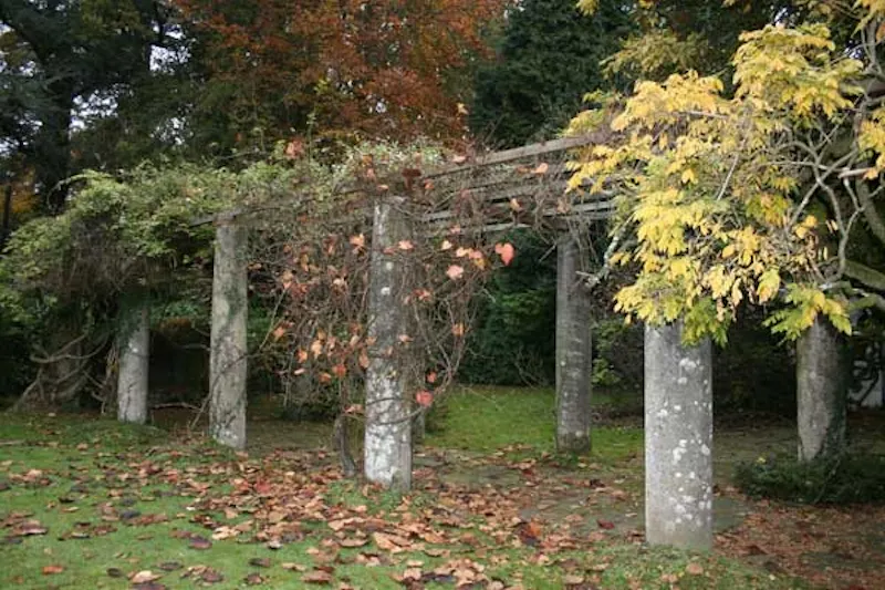 Garden at Colonial Southampton house, D1957 (photo 88)