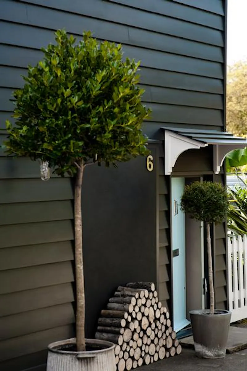 Pretty cottage in Dulwich, C783 (photo 6)