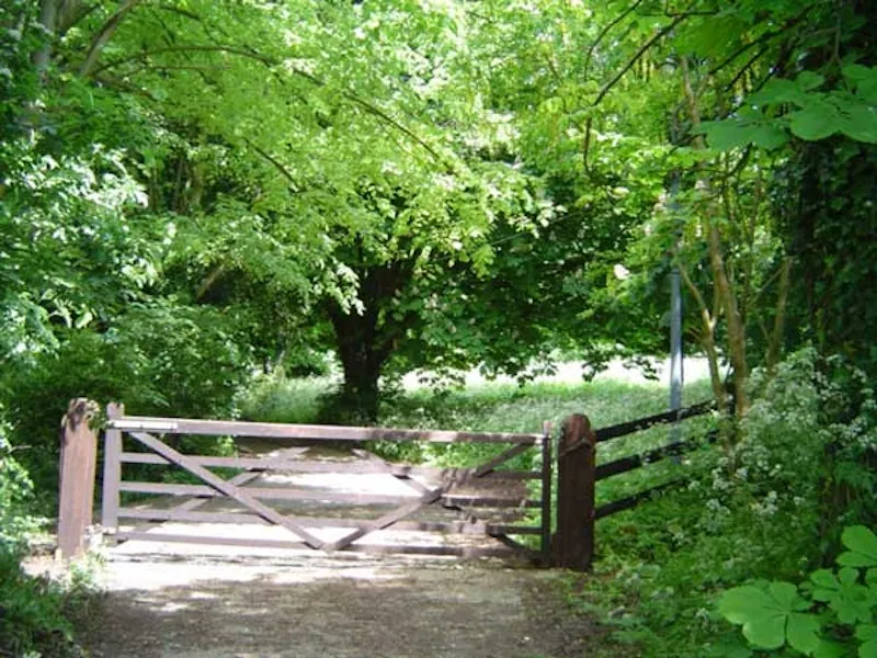Gate at Princes Risborough farmhouse, B1464 (photo 13)
