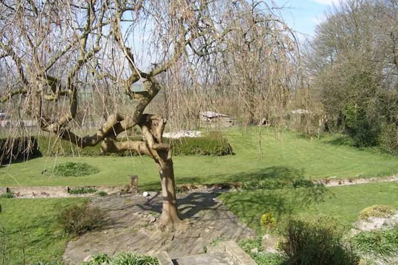 Views - country at Princes Risborough farmhouse, B1464 (photo 18)