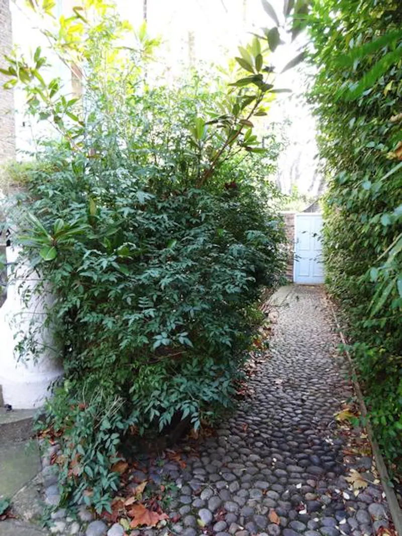 Classic Camberwell family house, A973 (photo 60)