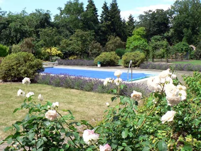 Swimming pool - outdoor at Georgian house near Cambridge, A1146 (photo 10)