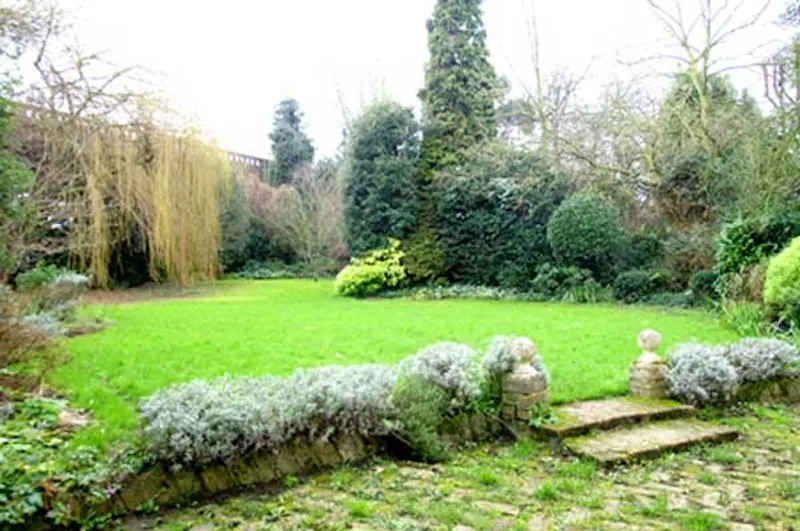 Garden at White-on-white Herne Hill house, B139 (photo 30)