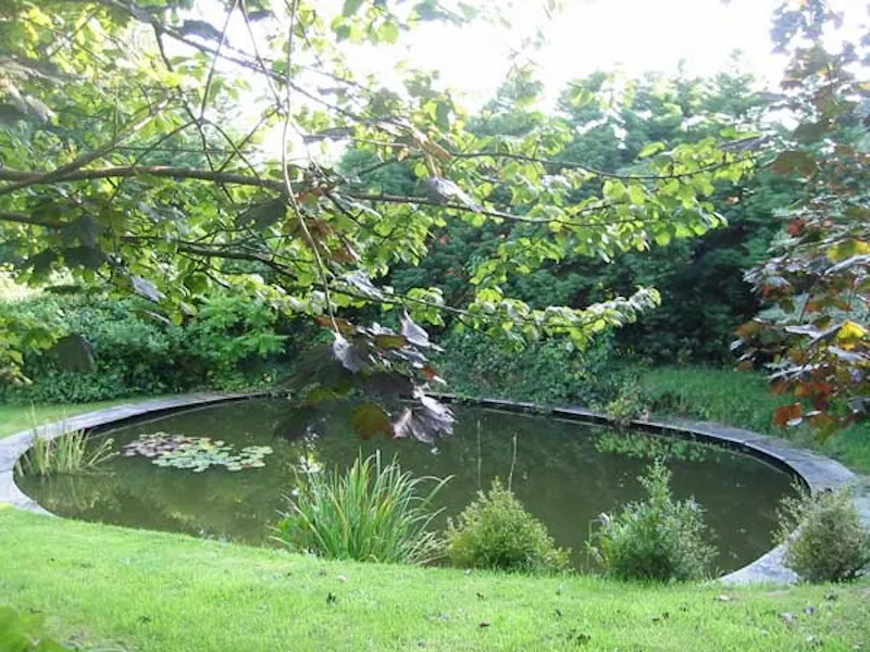 Pond at Nutley cube house, D1239 (photo 26)