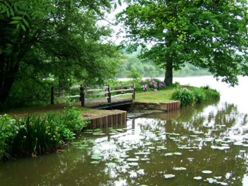 Lake at Tunbridge Wells estate, L579 (photo 6)