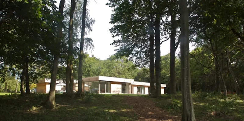 Garden at Contemporary Winchelsea cabin, D1956 (photo 12)