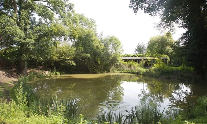 Lake at Contemporary Winchelsea cabin, D1956 (photo 14)