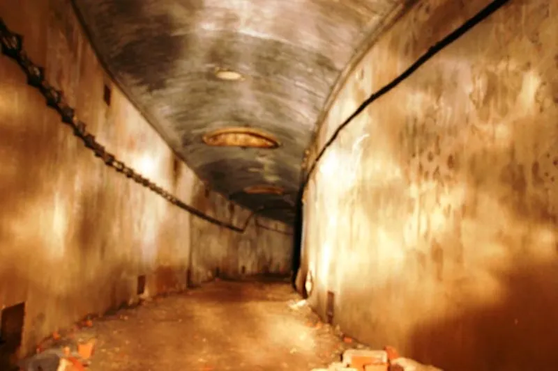 Cellar at Sherwood Forest Estate, N174 (photo 13)