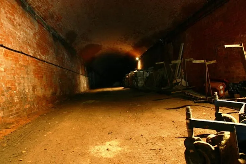 Cellar at Sherwood Forest Estate, N174 (photo 15)