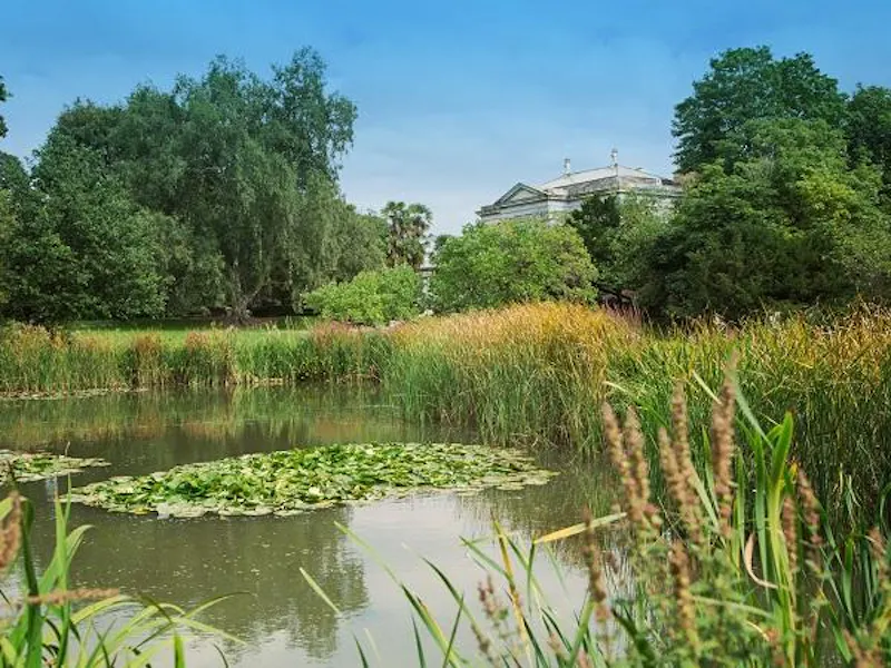 Pond at Ornate Hampton Court mansion, A859 (photo 17)