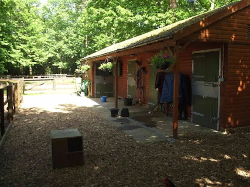 Stable / Outbuildings at West Byfleet country house, L571 (photo 9)
