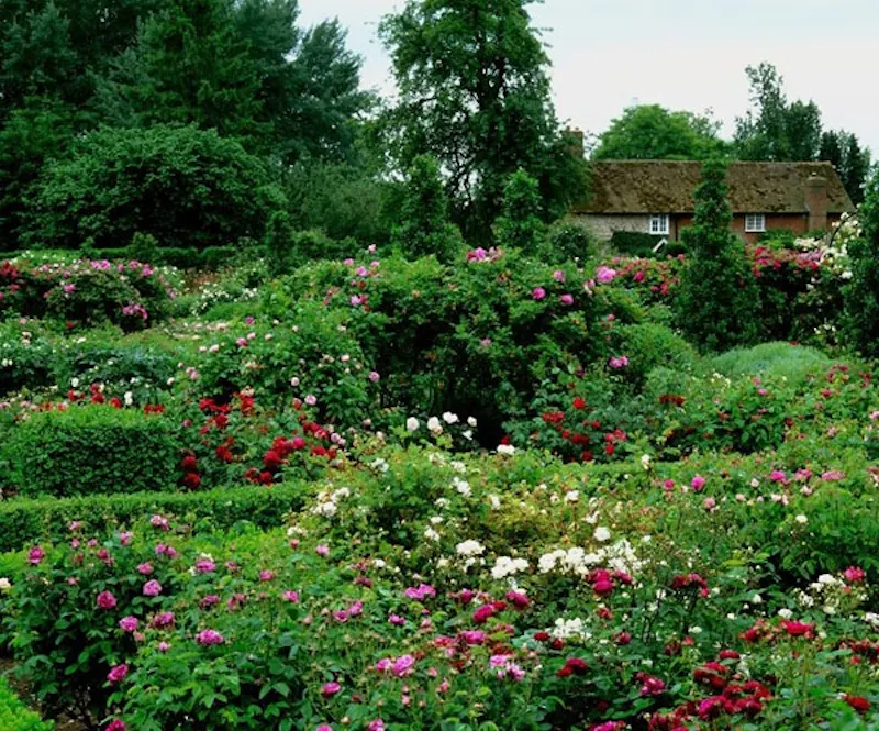 Garden - wild at Guildford Elizabethan manor, M17 (photo 44)
