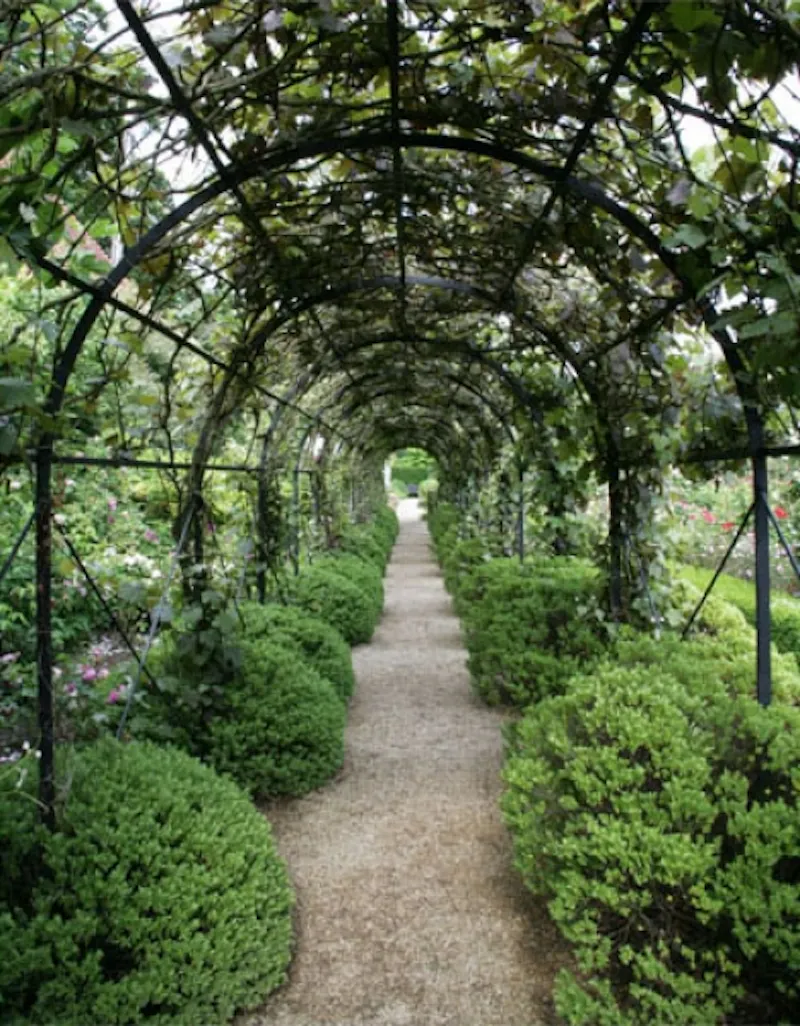 Guildford Elizabethan manor, M17 (photo 50)