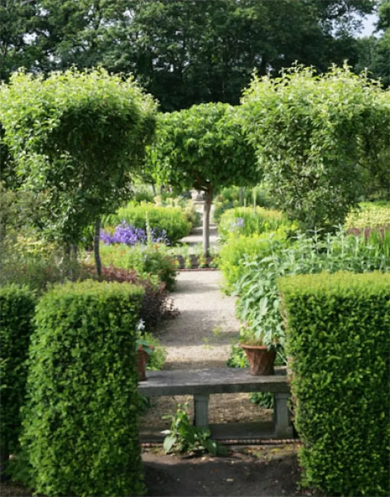 Guildford Elizabethan manor, M17 (photo 52)