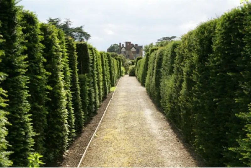 Garden - formal at Guildford Elizabethan manor, M17 (photo 55)