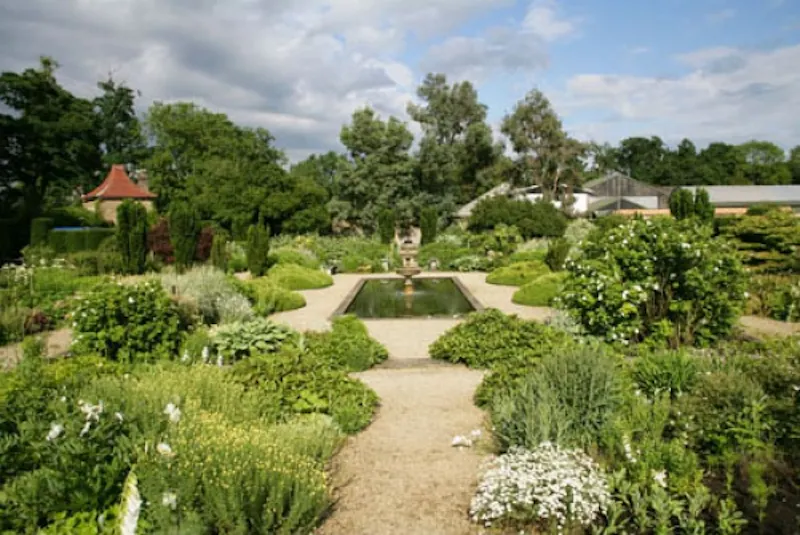 Garden - formal at Guildford Elizabethan manor, M17 (photo 56)