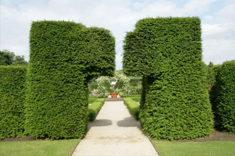 Guildford Elizabethan manor, M17 (photo 59)