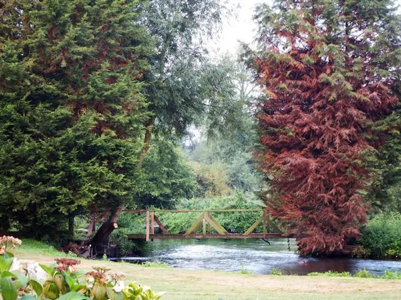 Woodland at Harefield mill house, L581 (photo 36)