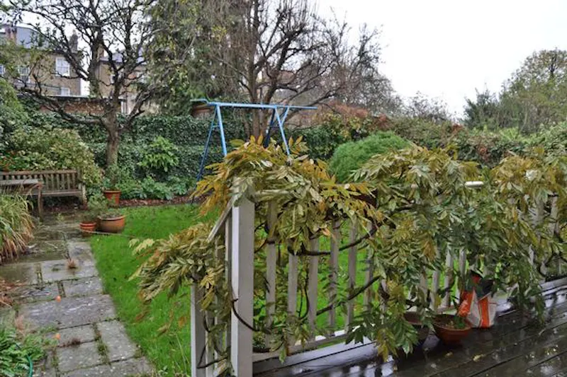 Garden at Film location B569 in London (photo 20)
