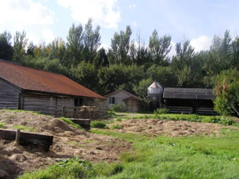St Albans bungalow with farm, D1908 (photo 12)