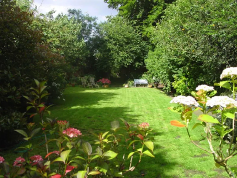 Garden at Wokingham cottage, A1174 (photo 32)