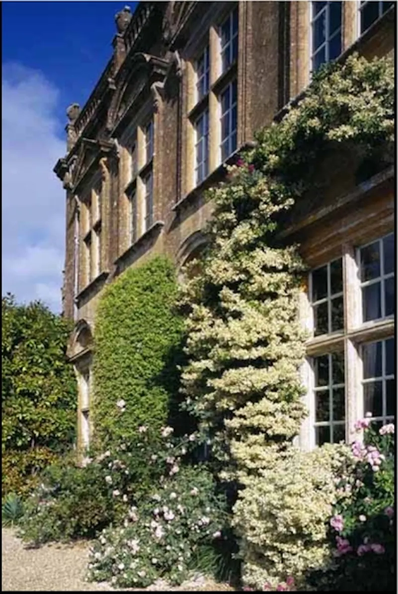 Historic house near Yeovil, G21 (photo 4)