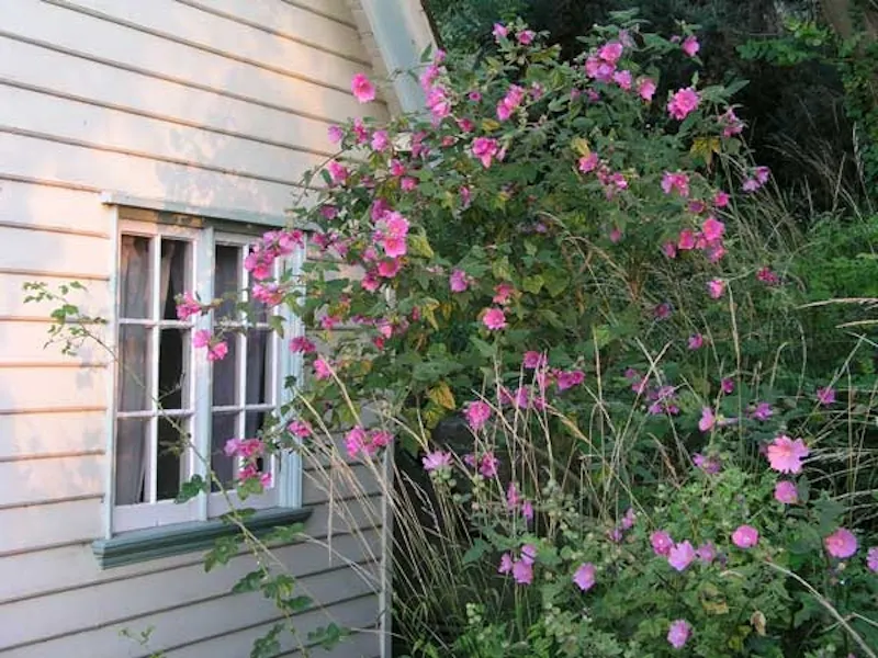 Pretty Whitstable beach house, C697 (photo 24)