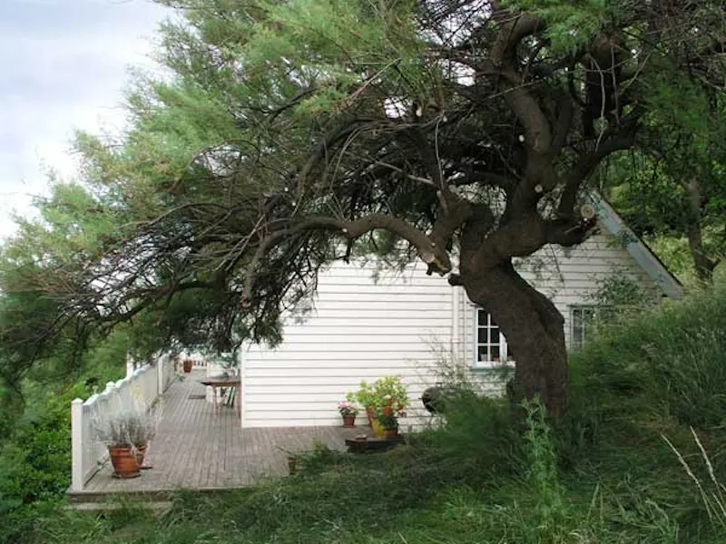 Pretty Whitstable beach house, C697 (photo 28)