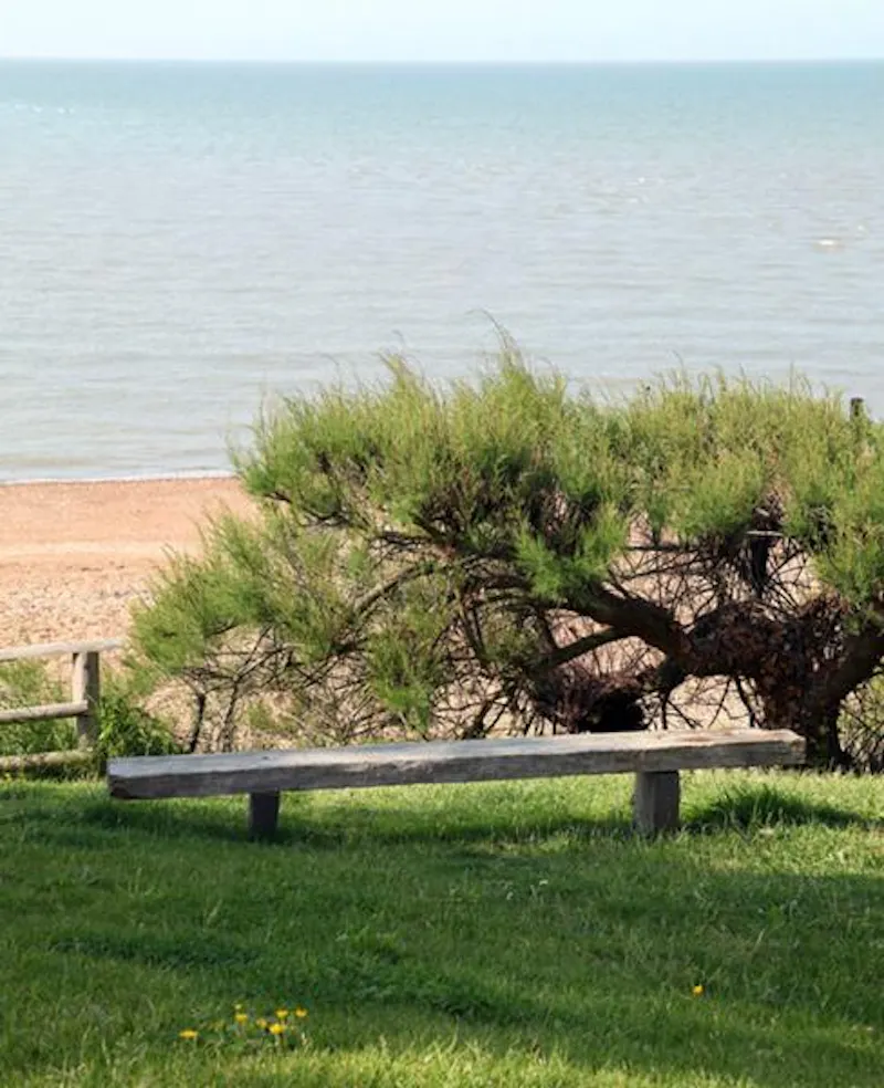 Pretty Whitstable beach house, C697 (photo 37)