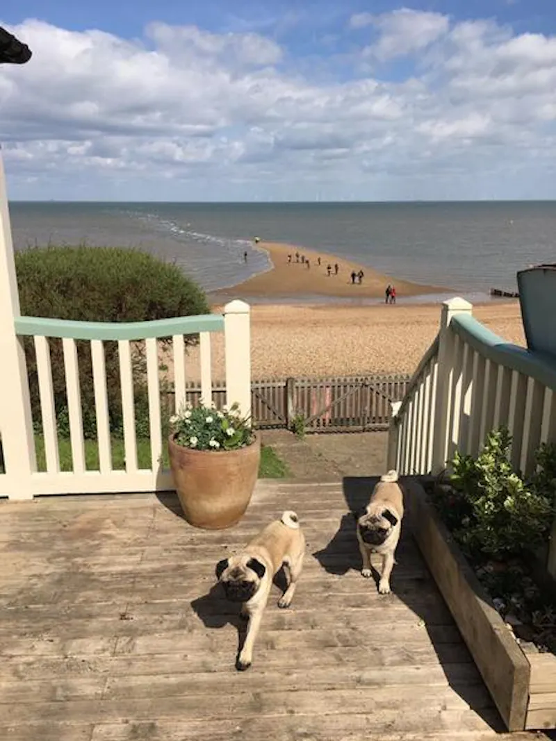 Pretty Whitstable beach house, C697 (photo 38)
